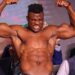 Francis Ngannou Will Be Ranked As A Top 10 Boxer According WBC Boxing President
