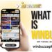 Winbuzz APK India Review: Information, Features, Online Betting Tips