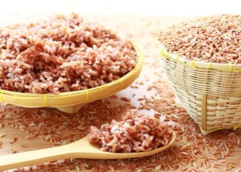 Breaking Stereotypes: Can Vegan Martial Artists Excel?