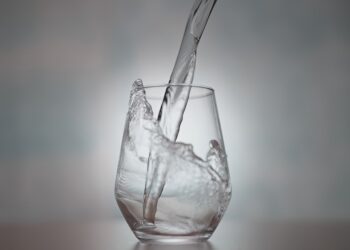 5 Of The Best Sugar-Free & Calorie-Free Foods & Beverages For A Healthier Lifestyle