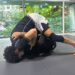 An Introduction To The Tripod Guard Pass