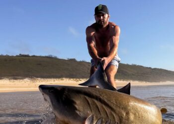 Shark week! Daring Dricus Du Plessis ‘brought in some new training partners’ for UFC 312 title defense