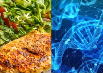 Nutrigenomics For Fighters: How To Hack Your DNA For Peak Performance