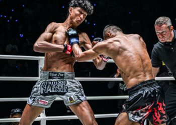 Why Every Martial Artist Needs A Strong Stand-Up Game