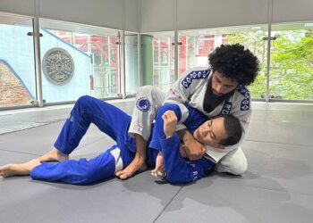 The Technical Mount In BJJ Explained